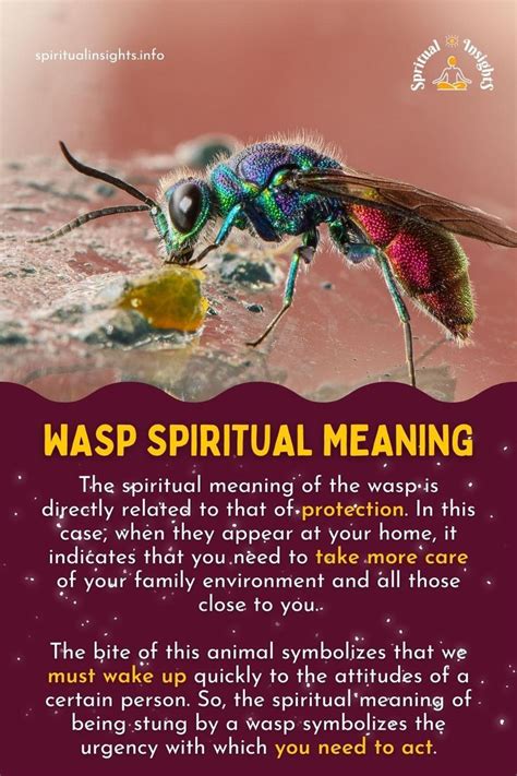 spiritual meaning of a wasp